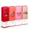 Lipsticks Box - Image 3