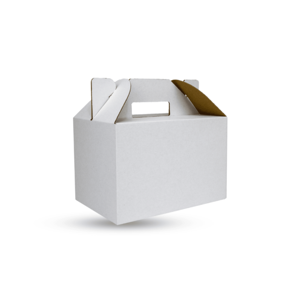 250x170x160mm White Carry Pack